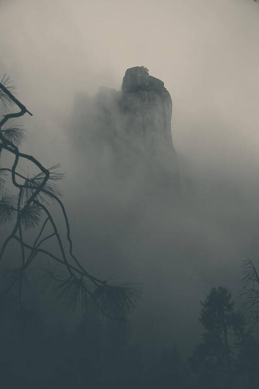 Yosemite National Park Poster featuring the photograph I Can Barely Remember by Laurie Search