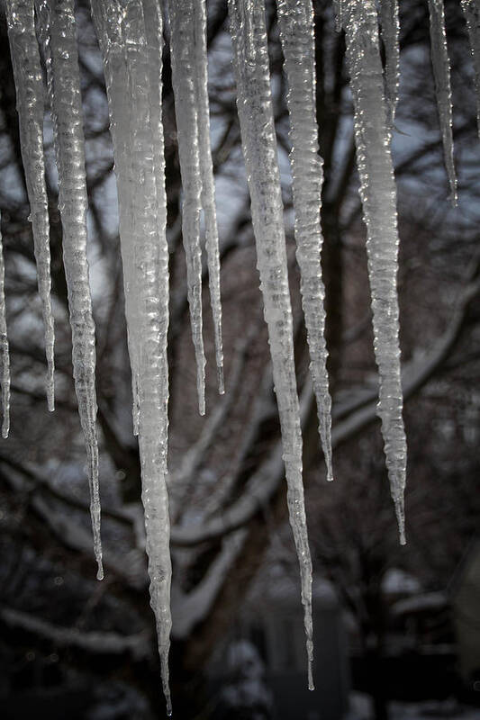 Ice Poster featuring the photograph Icicles by Susan Jensen