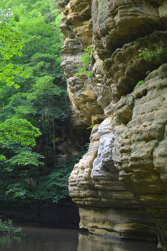 Starved Rock Poster featuring the photograph Illinois Canyon Starved Rock by Forest Floor Photography