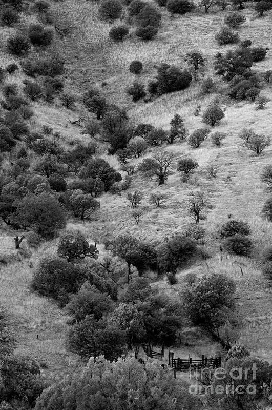 Photography Poster featuring the photograph In the Valley Below by Vicki Pelham