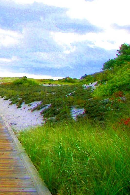 Island Poster featuring the photograph Island State Park Boardwalk by Pamela Hyde Wilson