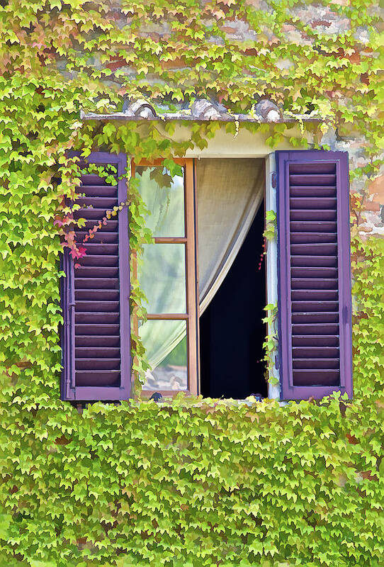 Art Poster featuring the photograph Ivy Covered Window of Tuscany by David Letts
