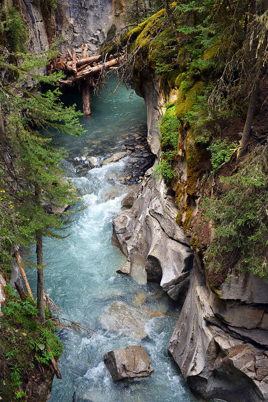 Banff Poster featuring the photograph Johnston Canyon by Yue Wang