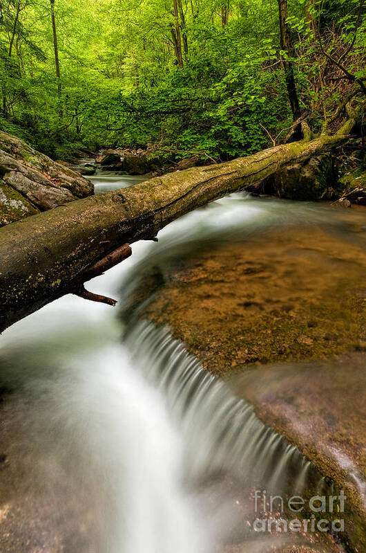 Ohiopyle State Park Poster featuring the photograph Jonathan Run D30016651 by Kevin Funk
