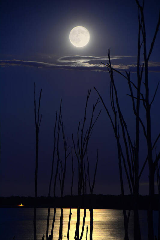 July 2014 Super Moon Poster featuring the photograph July 2014 Super Moon by Raymond Salani III