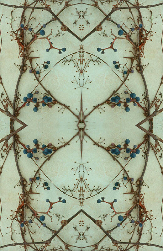 Pattern Poster featuring the photograph Kaleidoscope - Vines 1-1 by Andy Shomock
