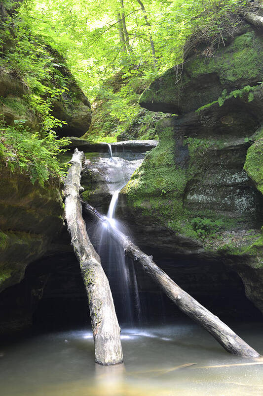 Starved Rock Poster featuring the photograph Kaskaskia Canyon Falls by Forest Floor Photography