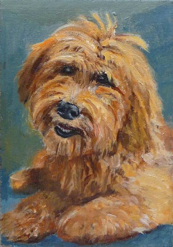 Labradoodle Poster featuring the painting Labradoodledoo by Jessmyne Stephenson