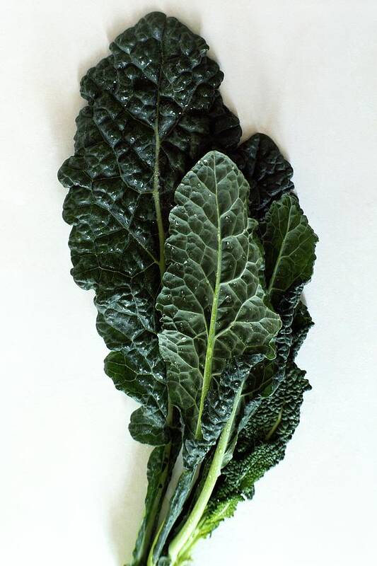 Food Poster featuring the photograph Lacinato Kale by Romulo Yanes