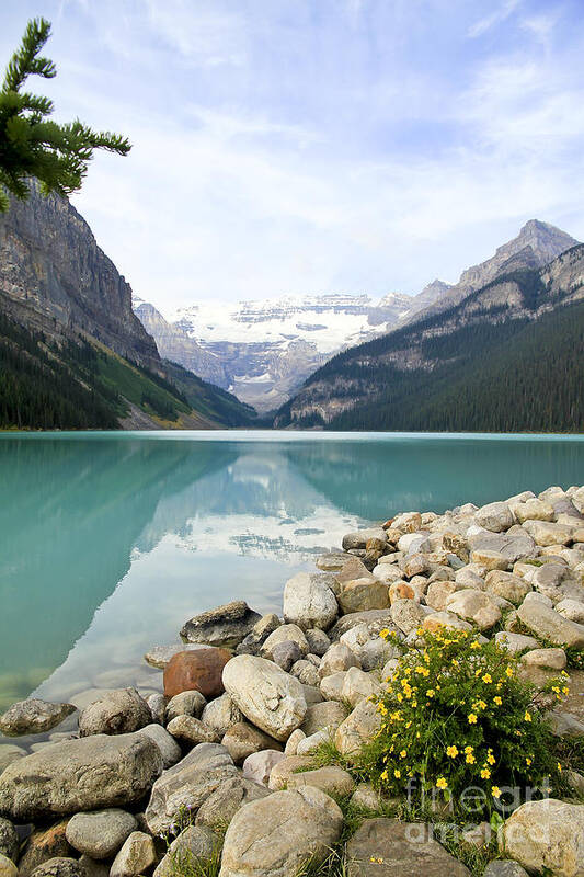 Lake Louise Poster featuring the photograph Lake Louise Alberta Canada by Teresa Zieba