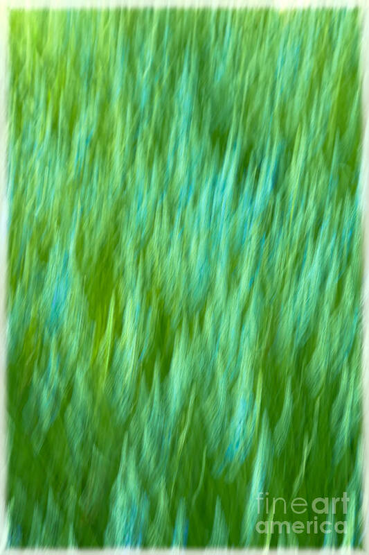 Abstract Poster featuring the photograph Lavender in Abstract by Jonathan Nguyen