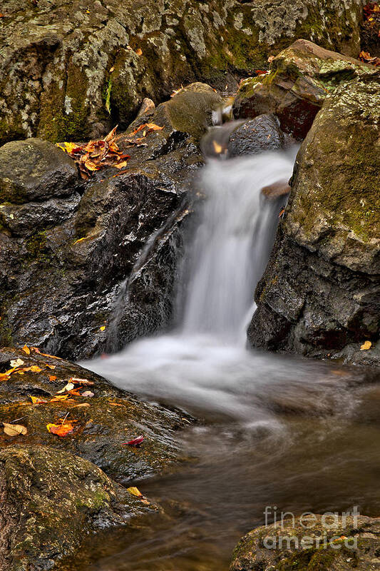 Fall Poster featuring the photograph LePetit Waterfall by Susan Candelario