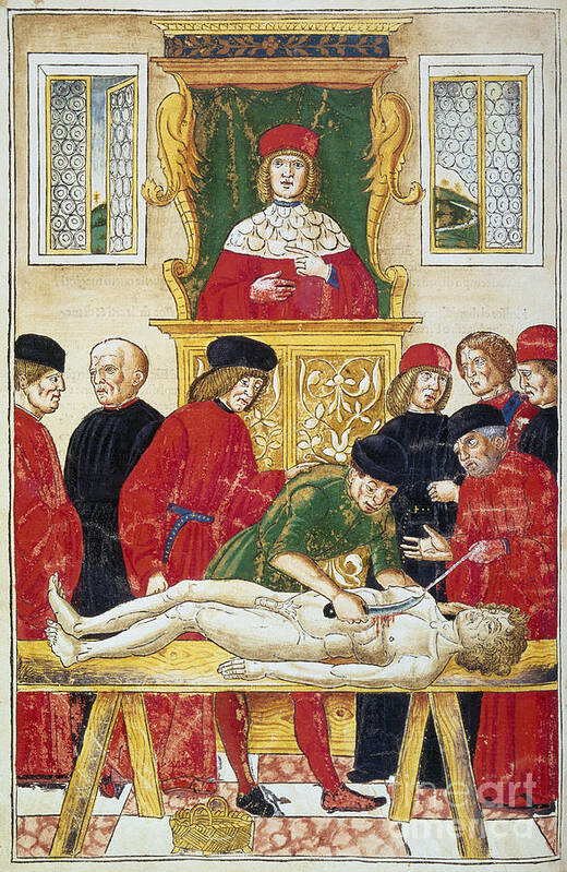 1493 Poster featuring the drawing Lesson In Dissection by Granger