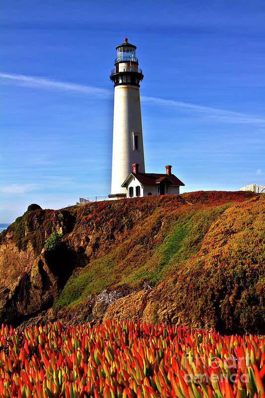 Lighthouse Poster featuring the photograph Lighthouse with Red Blooms by Charles Lupica