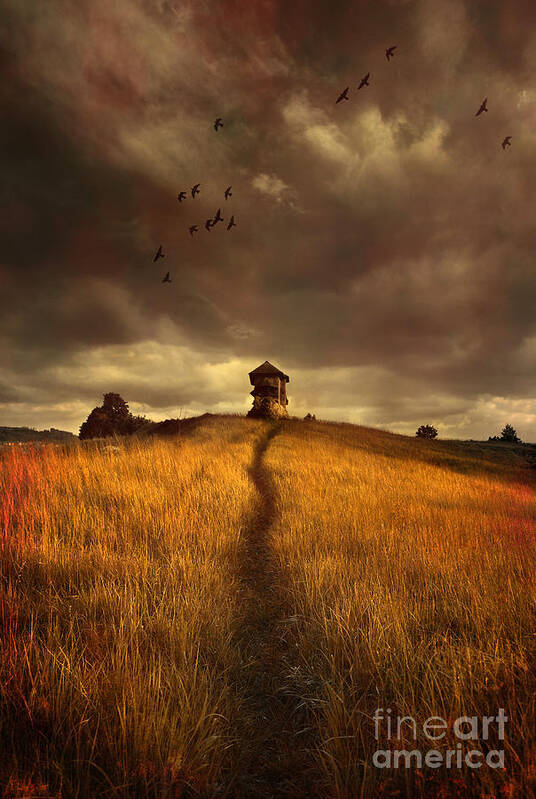 House On The Field Poster featuring the photograph Lonely house on the hill by Jaroslaw Blaminsky