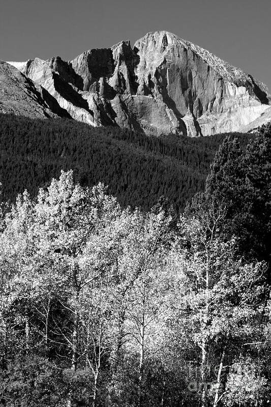 Longs Peak Poster featuring the photograph Longs Peak 14256 Ft by James BO Insogna