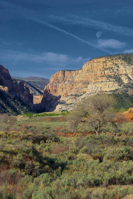 American Poster featuring the photograph Looking Up Pool Creek Canyon, Dinosaur by Timothy Herpel