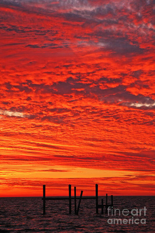 Orange Sunset Photo Poster featuring the photograph Louisiana Orange Sunset by Luana K Perez