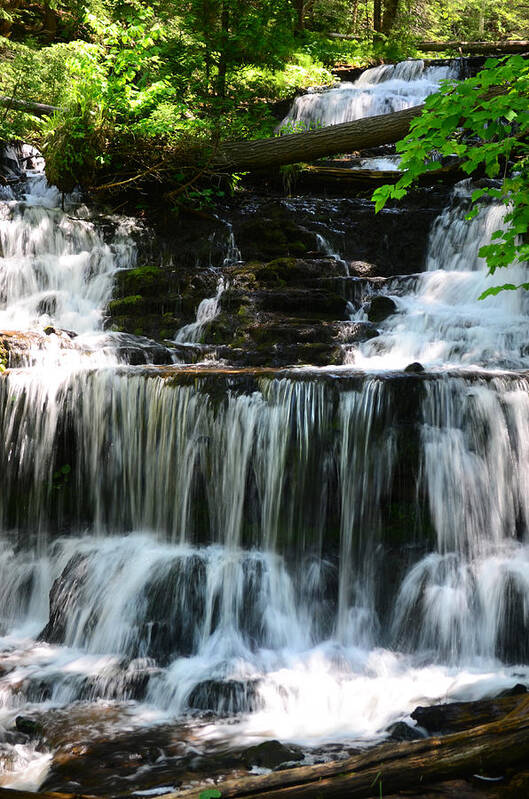Waterfall Poster featuring the photograph Lwv60017 by Lee Winter