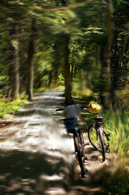 Woods Poster featuring the photograph Mackinac Island Woods by Randy Pollard