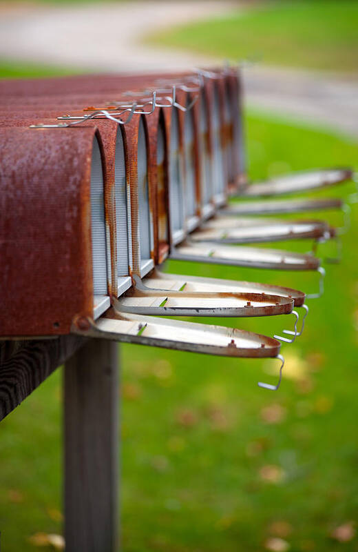 Mailboxes Poster featuring the photograph Mail Call by Karol Livote