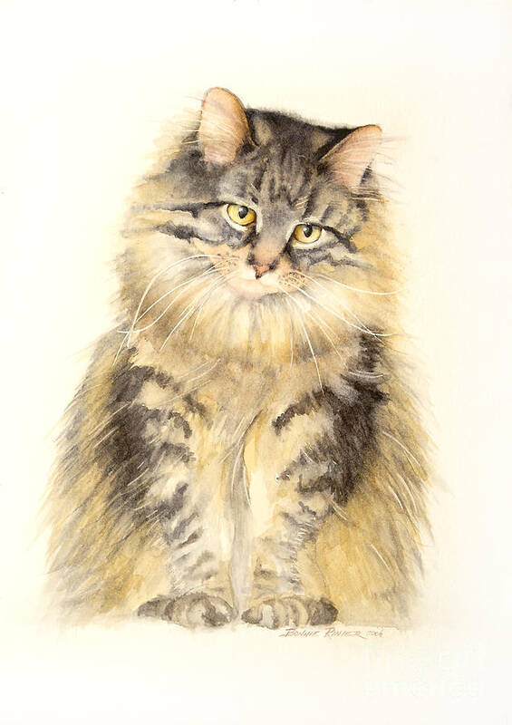 Maine Coon Cat Poster featuring the painting Maine Coon Cat by Bonnie Rinier