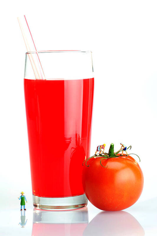 Whimsy Poster featuring the photograph Making A Cup Of tomato Juice Miniature Art by Paul Ge