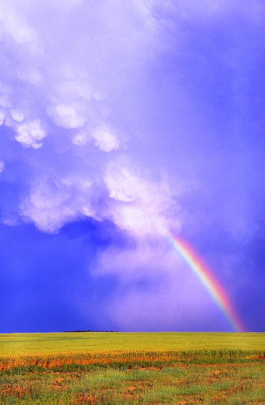 Rainbow Poster featuring the photograph Mammatus Rainbow of New Mexico by Jason Politte
