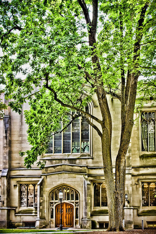 Princeton University Poster featuring the photograph McCosh Hall by Colleen Kammerer