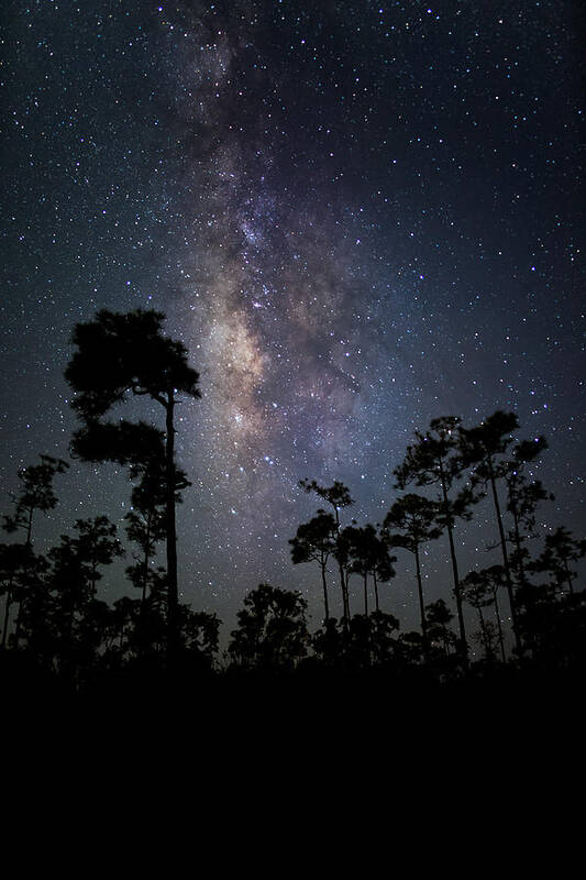 Adventure Poster featuring the photograph Milky Way Over the Everglades by Andres Leon