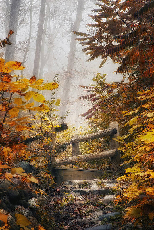 Bridge Poster featuring the photograph Misty Footbridge by Scott Norris