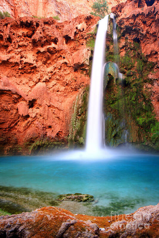 Mooney Falls Poster featuring the photograph Mooney Pool by Bill Singleton