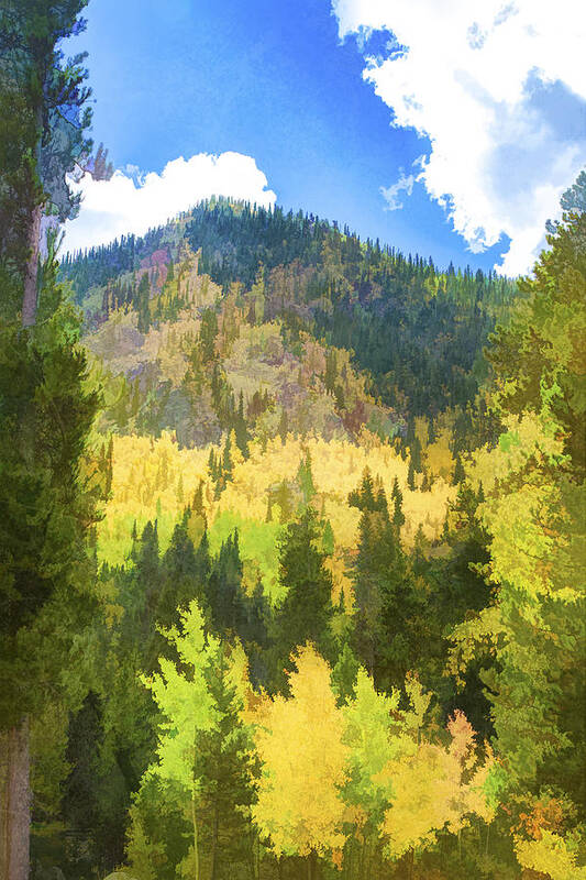Fall Poster featuring the photograph Mountain Colors by J Michael Nettik