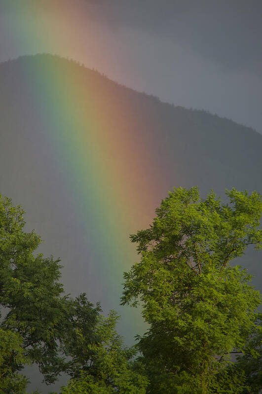 Rainbow Poster featuring the photograph Mountain Rainbow by Larry Bohlin