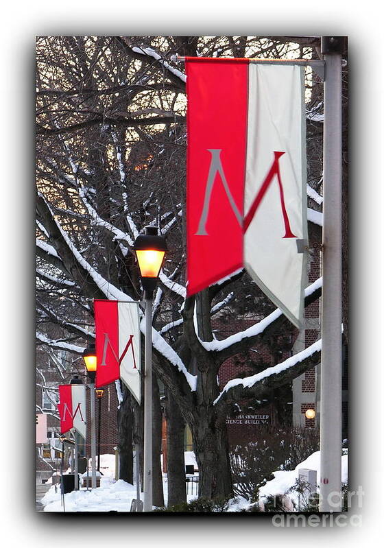 Muhlenberg College Poster featuring the photograph Muhlenberg College Banners Bordered by Jacqueline M Lewis