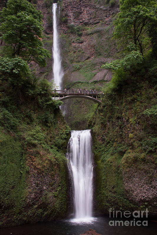 Multnomah Falls Poster featuring the photograph Multnomah Falls by Suzanne Luft