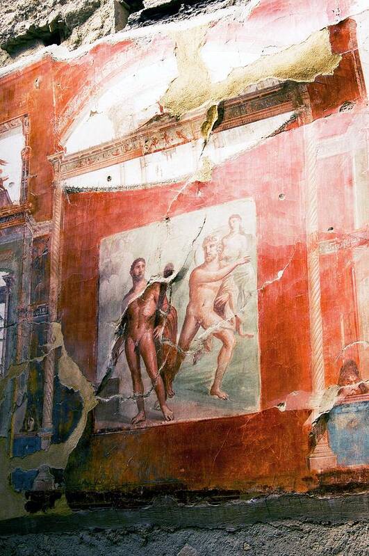 Hercules Poster featuring the photograph Mural In Herculaneum. by Mark Williamson/science Photo Library