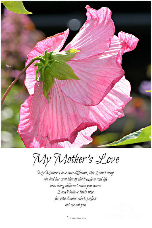 Pome Poster featuring the photograph My Mother's Love by Lila Fisher-Wenzel