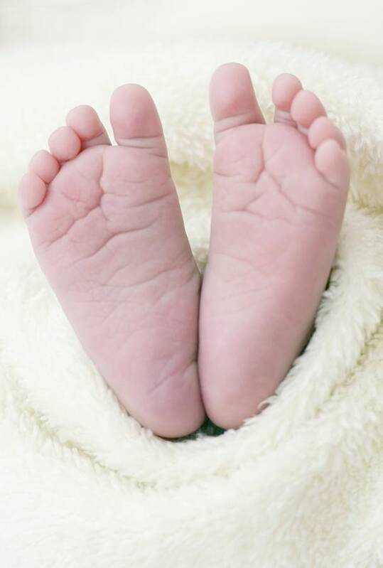 Baby Poster featuring the photograph Newborn Baby's Feet by Ian Hooton/science Photo Library