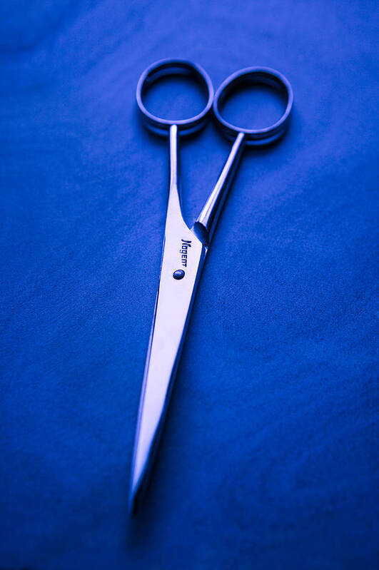 Background Poster featuring the photograph Nogent Scissors by Yo Pedro