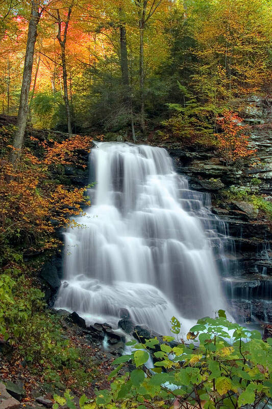Autumn Poster featuring the photograph October Foliage Surrounding Erie Falls by Gene Walls