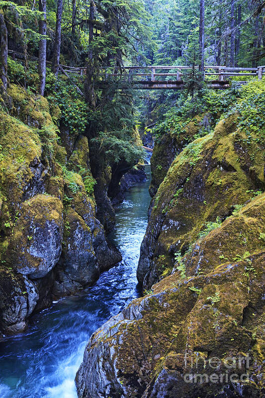 Ohanapecosh River Poster featuring the photograph Ohanapecosh River by Mark Kiver