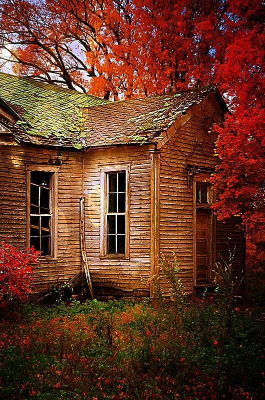 Schools Poster featuring the photograph Old One Room School House in Autumn by Julie Dant