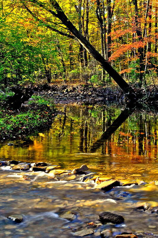 Landscape Poster featuring the photograph One and a Half by Frozen in Time Fine Art Photography