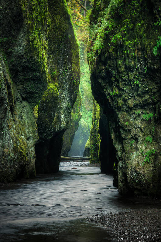 Columbia River Gorge Poster featuring the photograph Oneonta Gorge by Brian Bonham