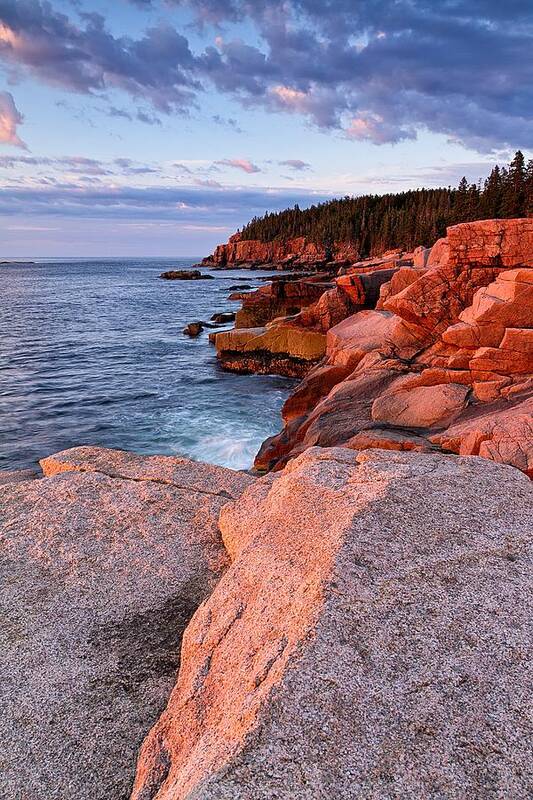 Acadia Poster featuring the photograph Otter Cliffs At First Light by Jeff Sinon