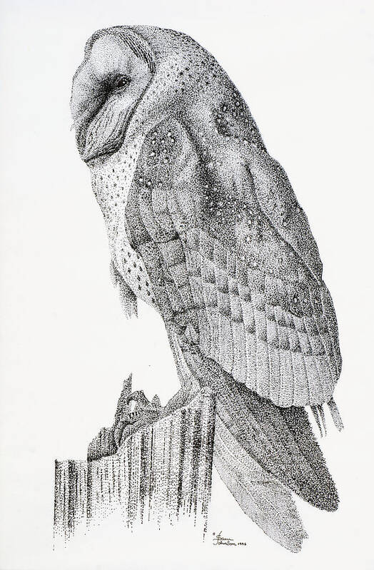 Owl Poster featuring the drawing Owl by Sam Davis Johnson