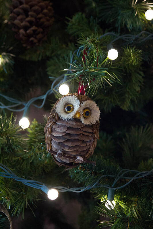 Owls Poster featuring the photograph Owly Christmas by Patricia Babbitt