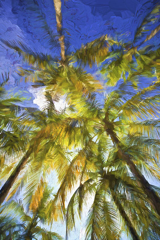 Abstract Poster featuring the painting Palm Trees of Aruba by David Letts