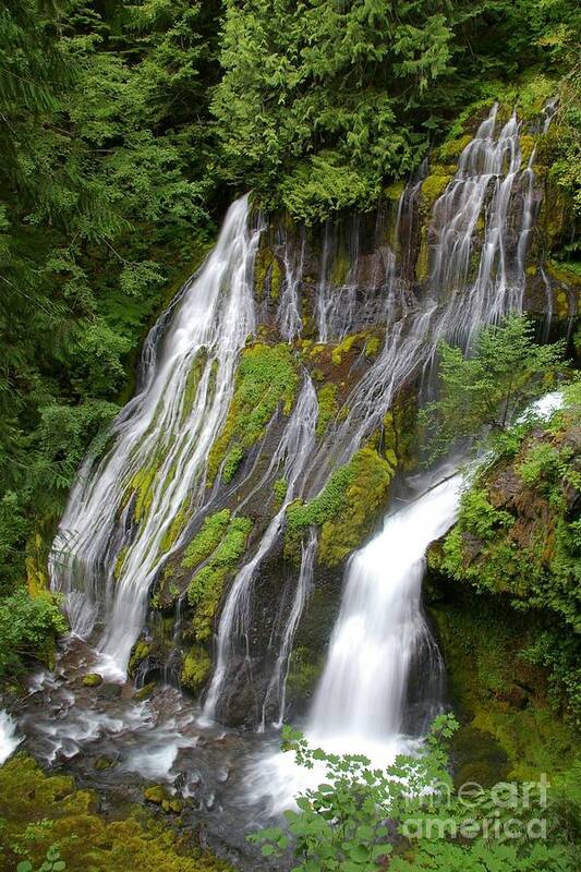 Big Lava Bed Poster featuring the photograph Panther Creek Falls 2- Washington by Rick Bures